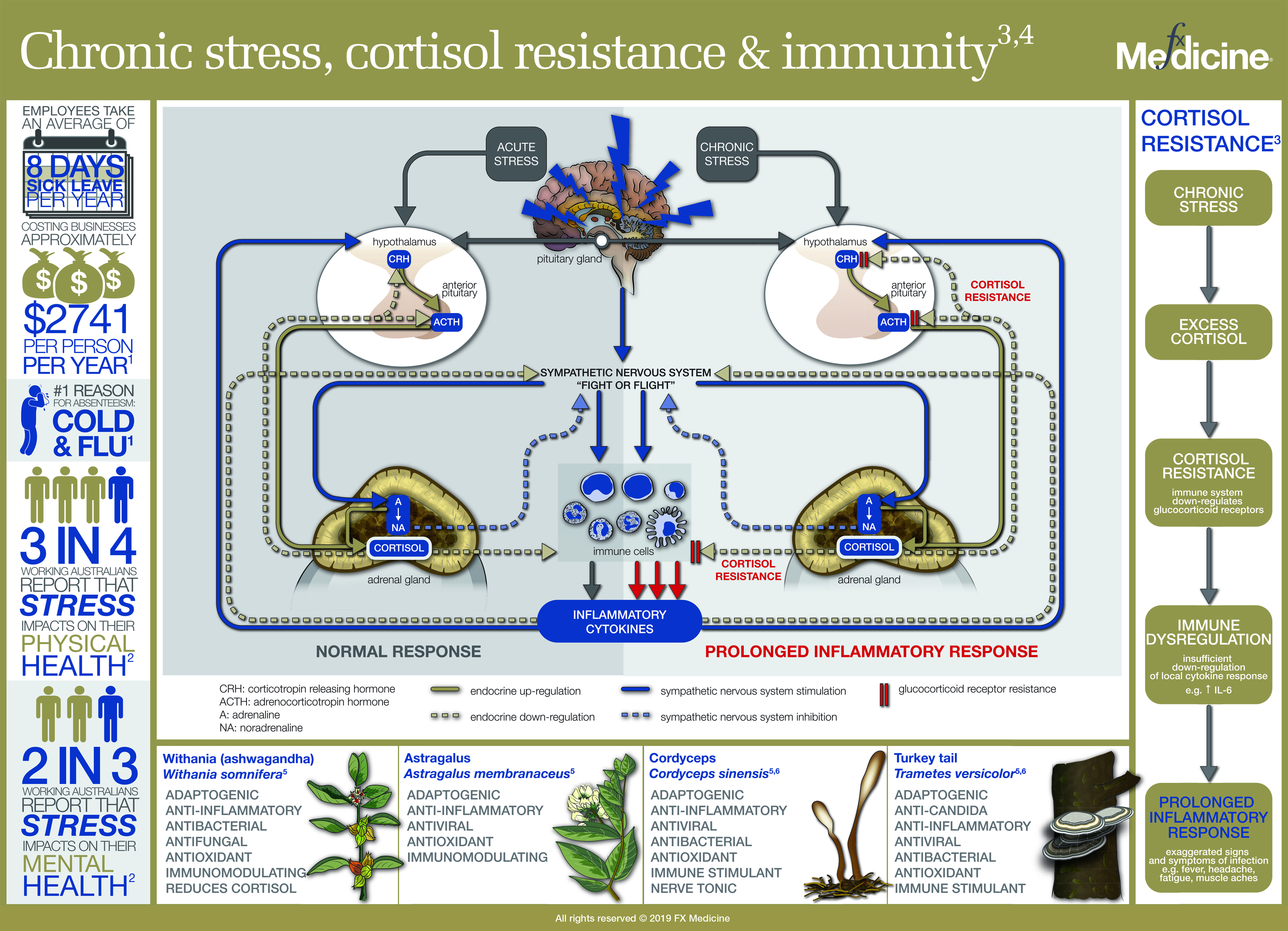 Stress Sickness: Stress and Your Immune System