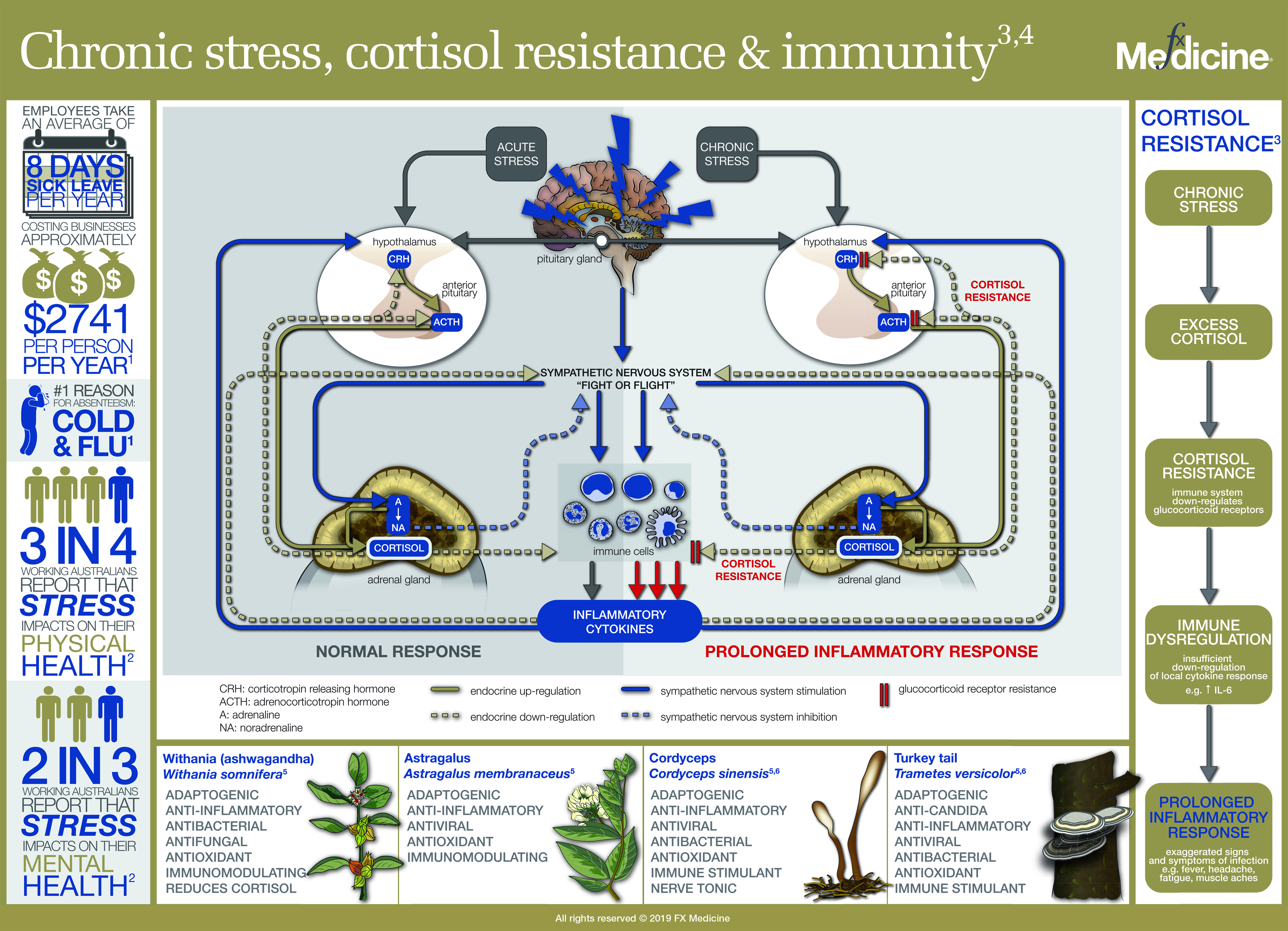 Cortisol the stress hormone in 2 mins - YouTube